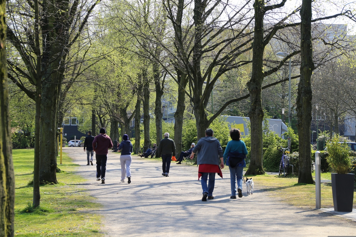 Image of a local park with people walking and jogging